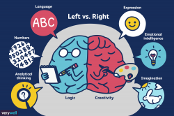 Left Brain vs. Right Brain Dominance