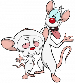 28+ Collection of Pinky And The Brain Drawing | High quality, free ...