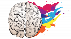 Images of Brain Png - #SpaceHero