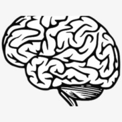 Brain Clipart Jpeg - Cartoon Brain Coloring Page #1399747 ...
