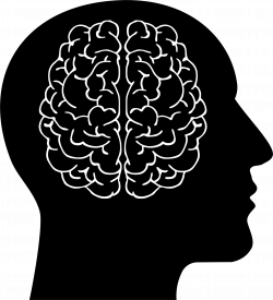 Clipart - Brain In Man Head