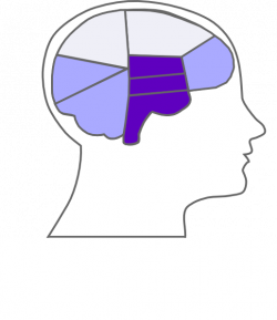 Head And Brain Outline Clip Art at Clker.com - vector clip art ...