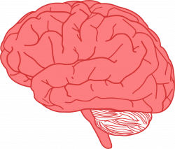 Clipart - Brain Profile Optimized