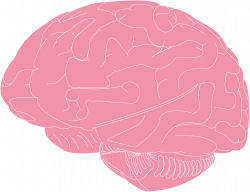 Clipart - Brain Illustration