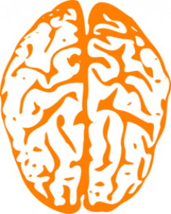 Orange Brain Clip Art at Clker.com - vector clip art online ...