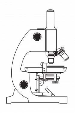 Clipart - Microscope without Coloring