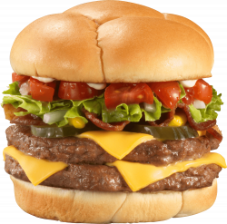 Burger PNG Images Transparent Free Download | PNGMart.com