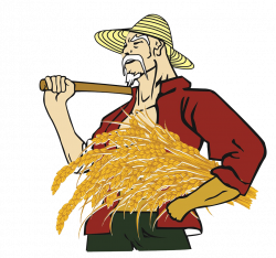 Farmer Clip art - Rice harvest for the elderly 1024*960 transprent ...