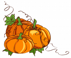 Wedding invitation Thanksgiving Clip art - Thanksgiving pumpkin vine ...