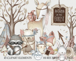 Autumn Woodland, baby animals clipart, raccoon, rabbit, bunny, fox, bear,  owl, tree, deer, planner clipart, squirrel, hand painted