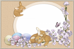 Easter Bunnies Transparent PNG Frame | Gallery Yopriceville - High ...