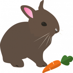 Free photo Rabbit Spring Hare Animal Pet Easter Nature - Max Pixel