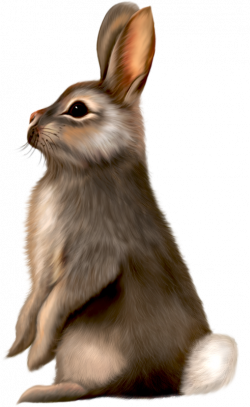 Easter Bunny Rabbit Clip art - Long ears brown rat painted gray ...