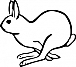 Free Image on Pixabay - Bunny, Hare, Mammal, Rabbit | Pinterest