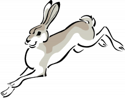 28+ Collection of Lop Eared Rabbit Clipart | High quality, free ...
