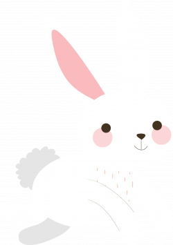 Rabbit PNG Transparent Free Images | PNG Only
