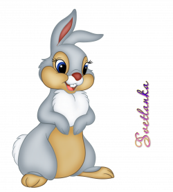 Thumper Faline Clip art - rabbit 2126*2362 transprent Png Free ...
