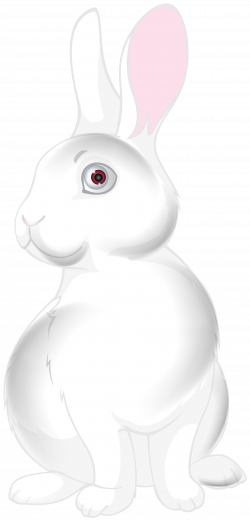 White Bunny Cartoon PNG Clip Art Image | Gallery Yopriceville ...