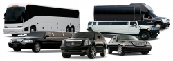 Charleston Tansportation, Bus Charter, Wedding Transportation ...
