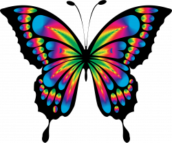 Prismatic Butterfly Remix by GDJ | Eclectic: Butterfly & Fairy ...