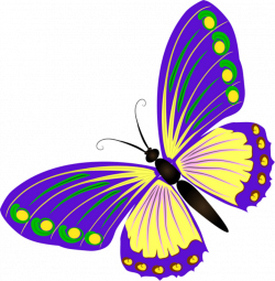 06.png | Butterfly and Clip art