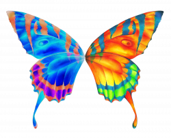 28+ Collection of Butterfly Wings Clipart | High quality, free ...