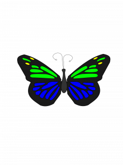 Clipart - Floating Butterfly Animation