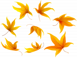 Fall Leaves PNG Clip Art Image | Gallery Yopriceville - High ...