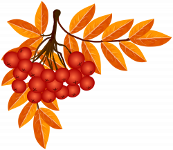 Fall Decoration PNG Clip Art Image | Gallery Yopriceville - High ...