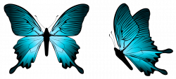Blue Butterfly PNG Clipart Image | Gallery Yopriceville - High ...