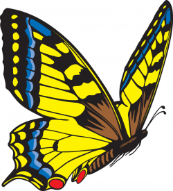 Yellow Butterfly Clipart | Clipart Panda - Free Clipart Images