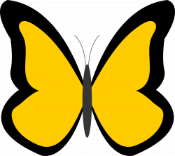 Yellow Butterfly Clipart | Clipart Panda - Free Clipart Images
