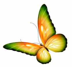 Yellow and Green Transparent Butterfly Clipart | Motýle | Pinterest ...