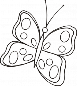 Butterfly Images Black And White Group (23+)