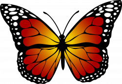 Monarch Butterfly Clipart (57+)