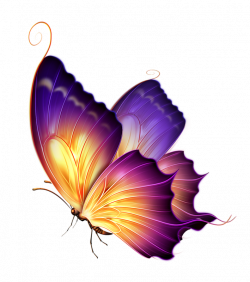 Butterfly 16.png | Pinterest | Butterfly, Tattoo and Decoupage