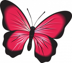 Imagini pentru fluturi rosii | primavara | Pinterest | Clip art ...