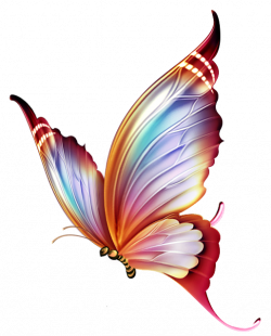 papillons,png,butterfly,tubes,BORBOLETA,MARIPOSA, | Pinterest ...