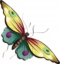 Butterfly - ClipArt Best | Birds and Butterflies 4 | Pinterest ...