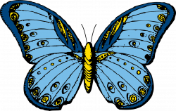 Butterfly Insect Polymorphism transparent image | Butterfly ...