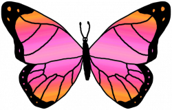Butterflies cartoon butterfly clipart - Clipartix