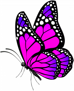 Butterfly Pink PNG Clip Art Image | Gallery Yopriceville - High ...
