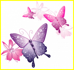 Awesome Transparent Butterfly Decorative Clipart Png M U For Dove ...