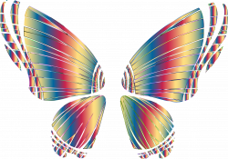 Clipart - RGB Butterfly Silhouette 10 16 No Background