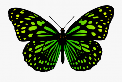 Colour Big Image Png - Butterfly #267548 - Free Cliparts on ...