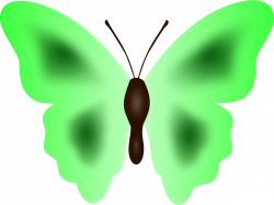 Clipart - Butterfly 33 (colour 3)