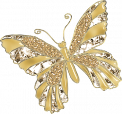 ○••°‿✿⁀Butterflies‿✿⁀°••○ | emb...# 14 | Pinterest | Butterfly ...