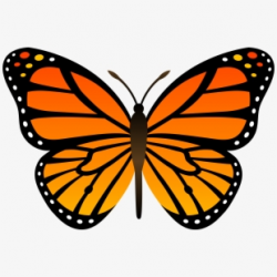 Monarch Butterflies Clipart - Drawing Easy Monarch Butterfly ...