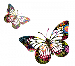 Butterflies Vector PNG Picture | Butterflies~Illustrations ...