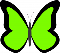 Green Butterfly Clipart
